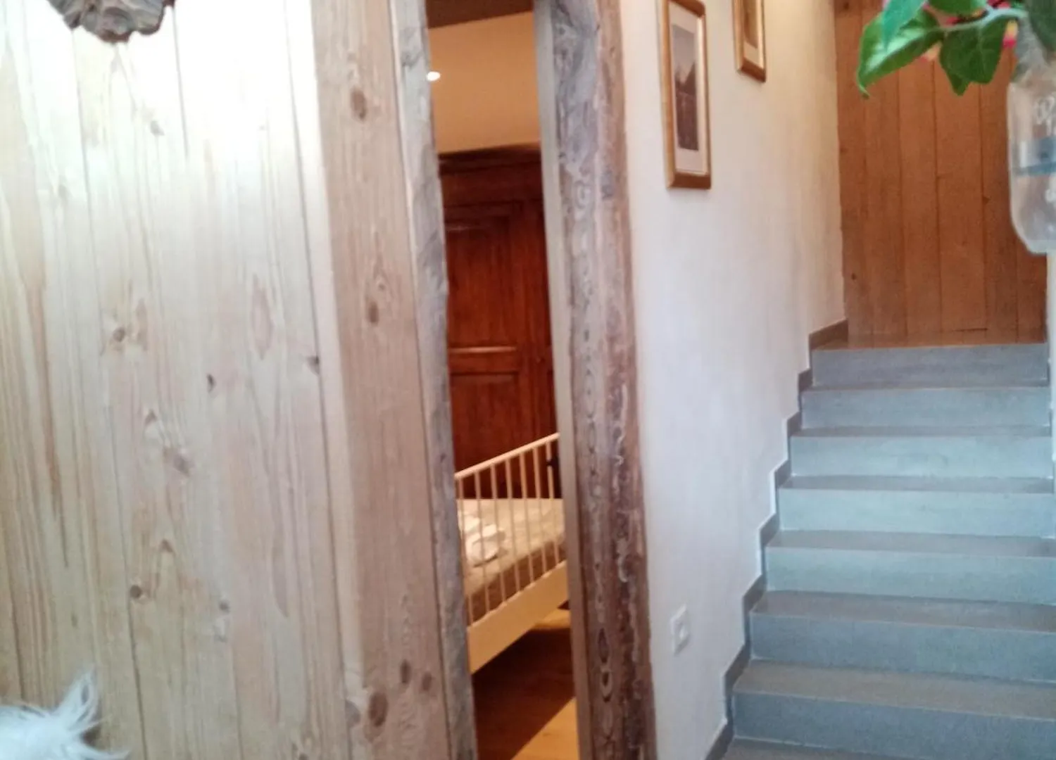 Il Nido Apartment Auronzo di Cadore